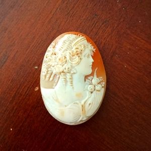 Large real Shell Cameo